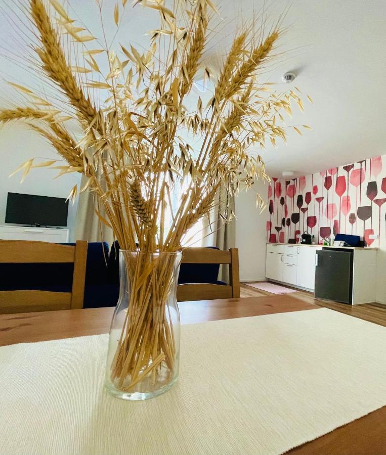 Palavske Domky Apartman Pasohlávky Kültér fotó