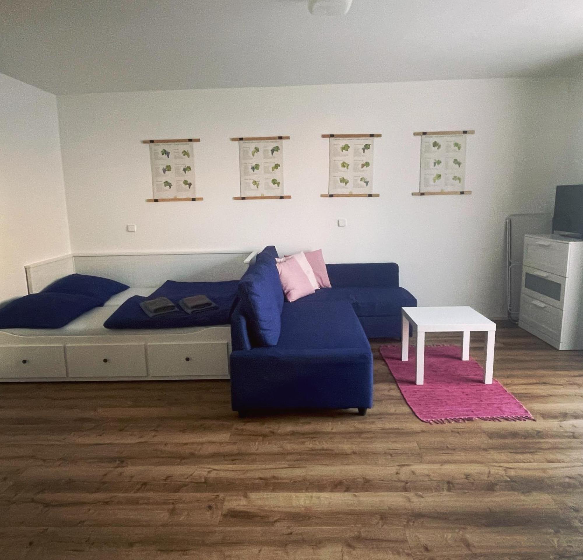 Palavske Domky Apartman Pasohlávky Kültér fotó